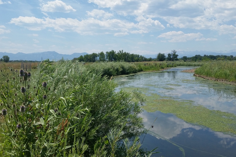 Lower Boulder Creek