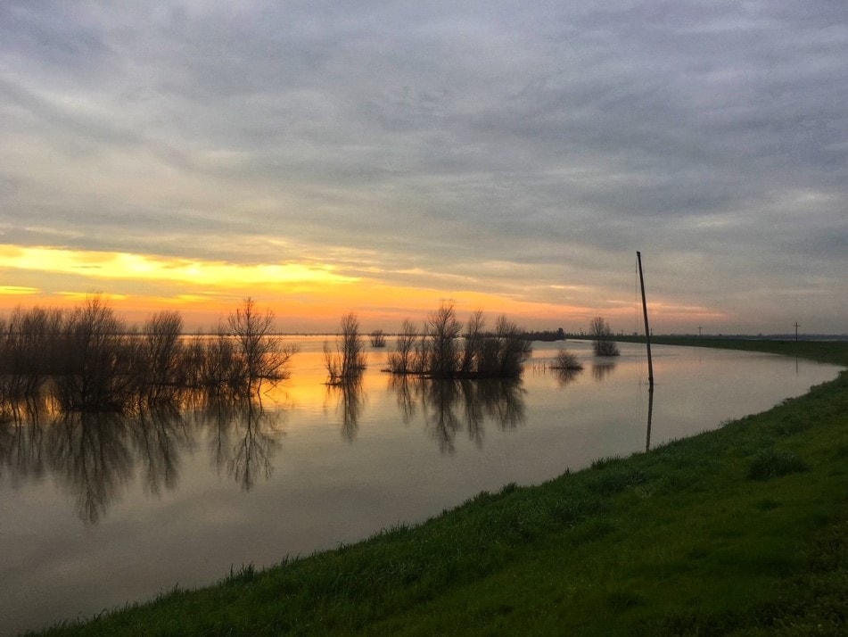 Image of the Yolo Bypass Wildlife Area during flooding showing trees peeking out of the water at sunset. The trees and orange and blue cloudy sky are reflected on the water.