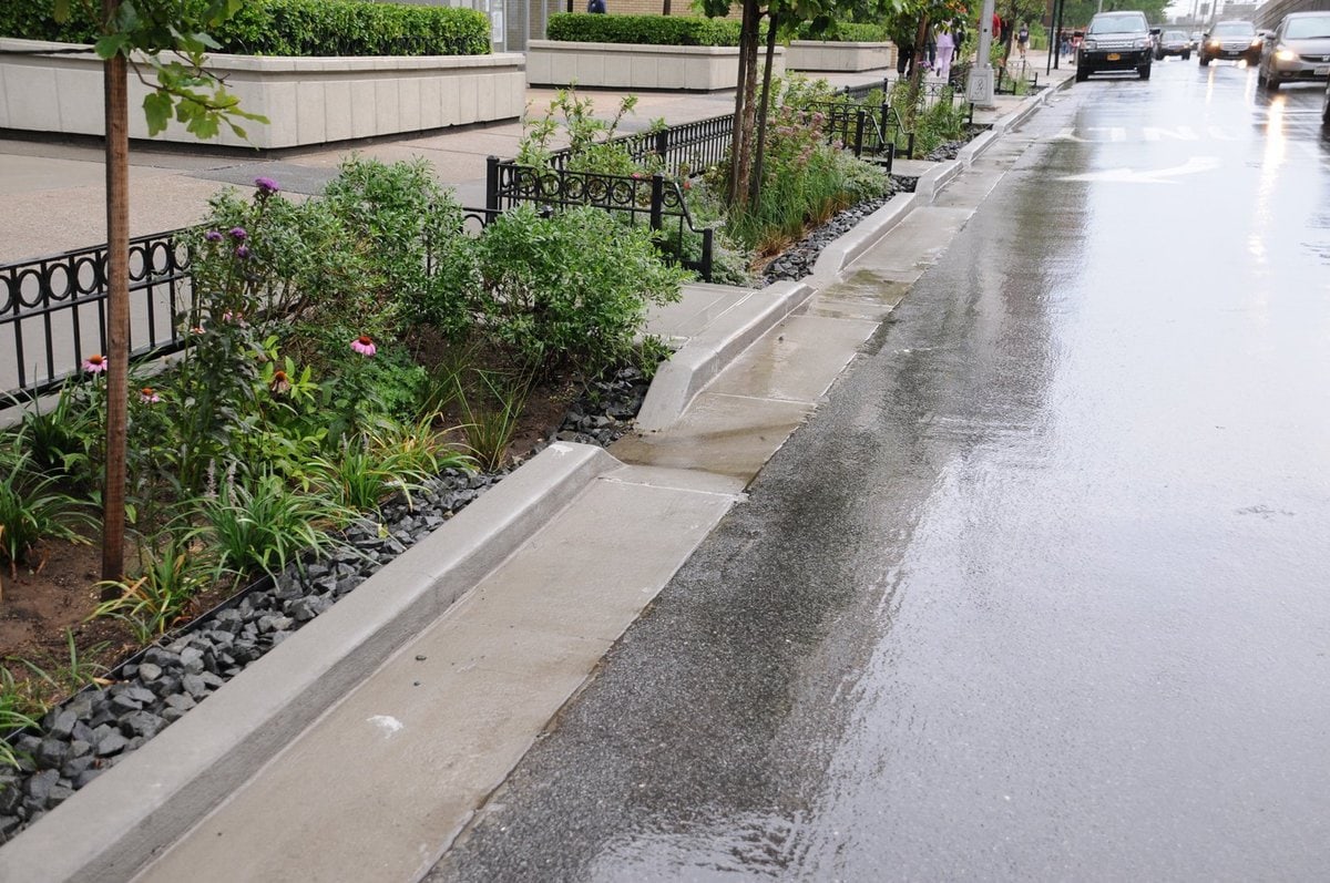 The streets in Queens, New York are lined with narrow grardens landscaped with small shrubs and purple flowers.  Each is set off from the sidewalk by black iron fencing. Large rectangular planters spaced further back hold bushes amid the grey concrete. Cars procede towards the viwer on the right in the street.