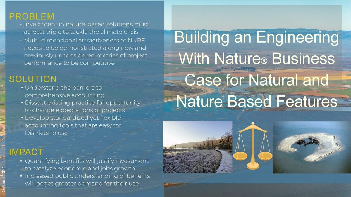 Building an Engineering With Nature®Business Case for Natural and Nature Based Features