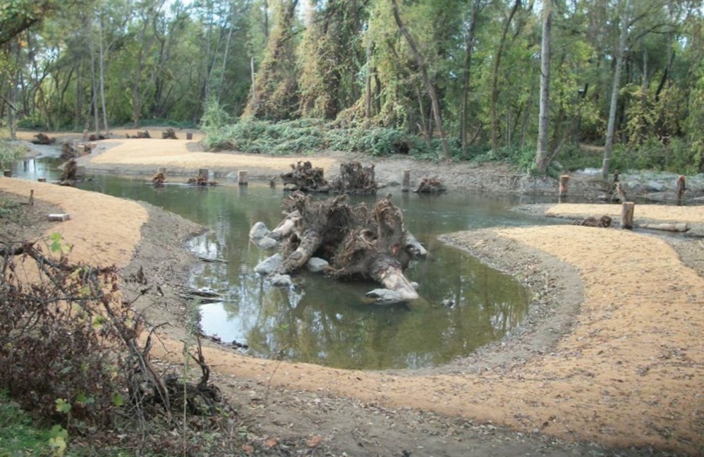 Alcoves, such as the one shown above at Dry Creek near Healdsburg, Calif., help slow creek flows for migrating salmon. Engineers utilize logs and root wads to create areas for fish to safely spawn. (Photo by Chuck Ingraham)
