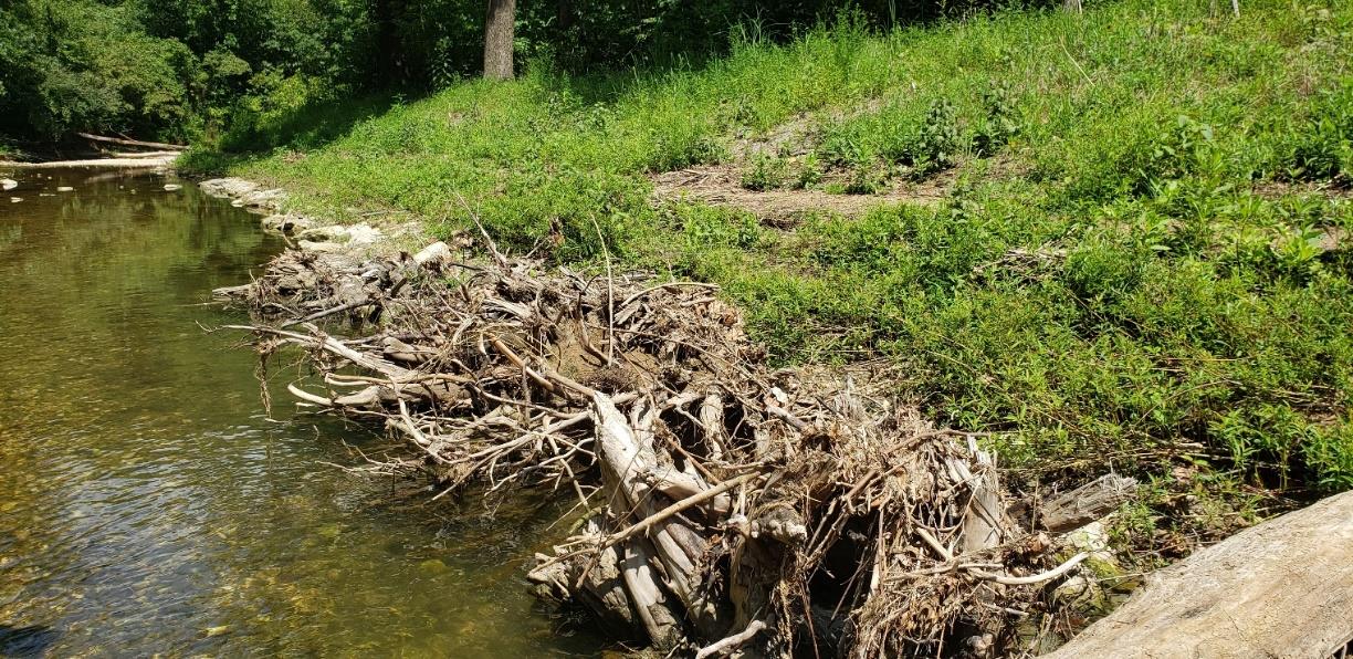 Bioengineering Field Site Reconnaissance Engineering With Nature