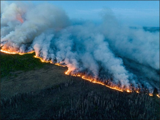 Aerial view of the wildfire front in British Columbia on June 9, 2023. A wavy line of fires cuts through the scene, billowing smoke upward through the frame.