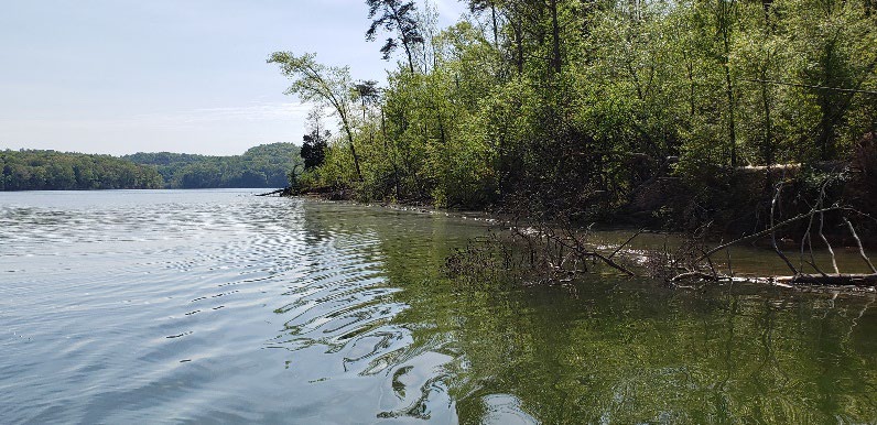 Shoreline Stabilization and Habitat Enhancement at Nolan River Lake