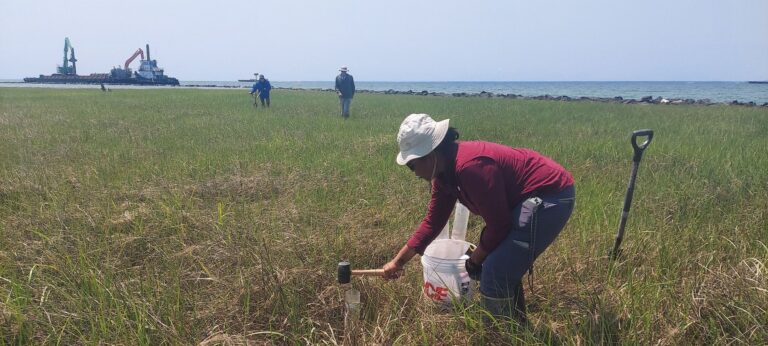 Researchers Collect Field Data to Understand the Long-term Performance of Dredge Material in Wetlands