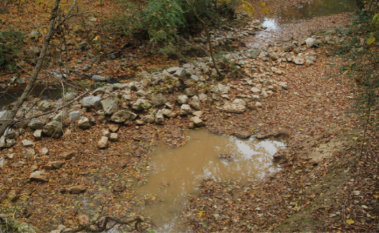 Longitudinal stone toe depicting leaf litter packs (macroinvertebrate and potential herptile habitat) and standing water (baseflow augmentation). Linkage between engineered structures and aquatic biosystems has not be adequately quantified. Lick Creek, DeSoto County, MS. Photo by B. Pruitt.