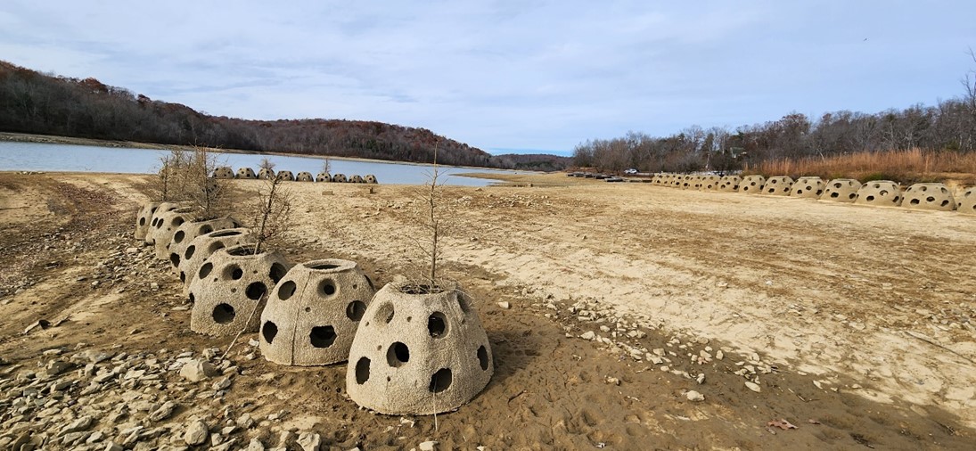 Shoreline protection – Reef Ball revetment alignments with woody materials added for habitat enhancements.