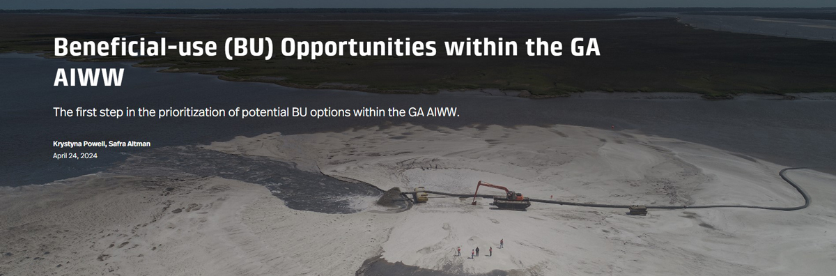BU-Opportunities-within-the-GA-AIWW