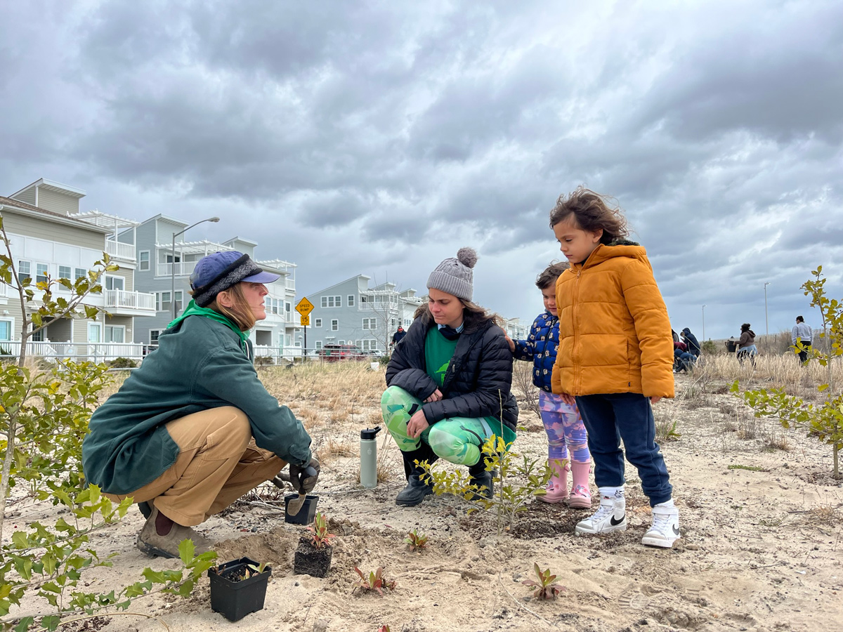 Strengthening Coastal Resilience with Nature-Based Solutions and Community Effort in Rockaway Beach