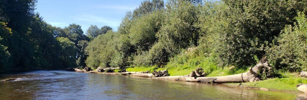 Photograph of a dark water river with a bank lined with tree trunks laid down along the shoreline which has a bank of green grass and shrubs and trees.