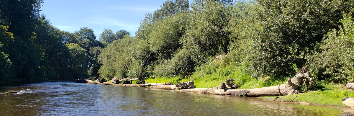New Engineering Practice Guides for Natural Infrastructure Now Available