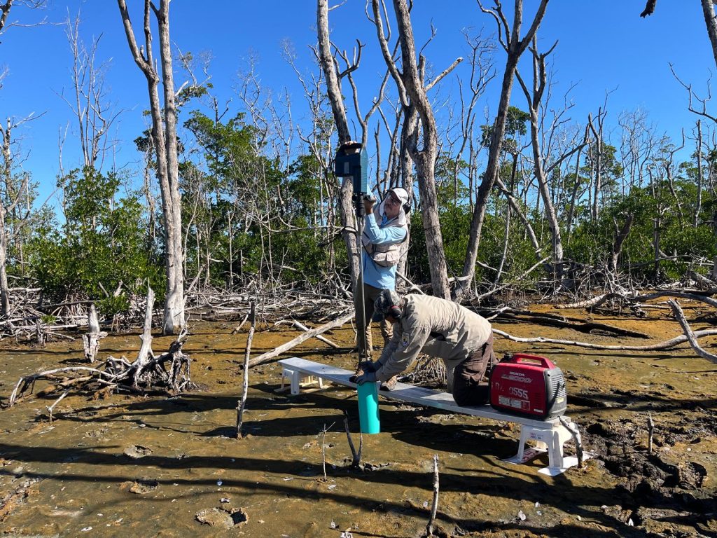Two people work in a muddy mangrove area with sparse, leafless trees, installing or adjusting monitoring equipment mounted on a pole. One person stands on a small platform operating the device while the other kneels beside a pipe, with a portable generator nearby.