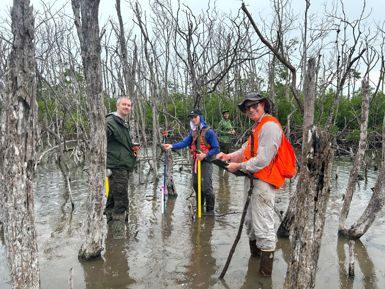Four people stand in shallow water among dead mangrove trees, wearing field gear and rubber boots while using surveying equipment and measuring poles; one person in an orange safety vest holds a tablet and smiles at the camera.