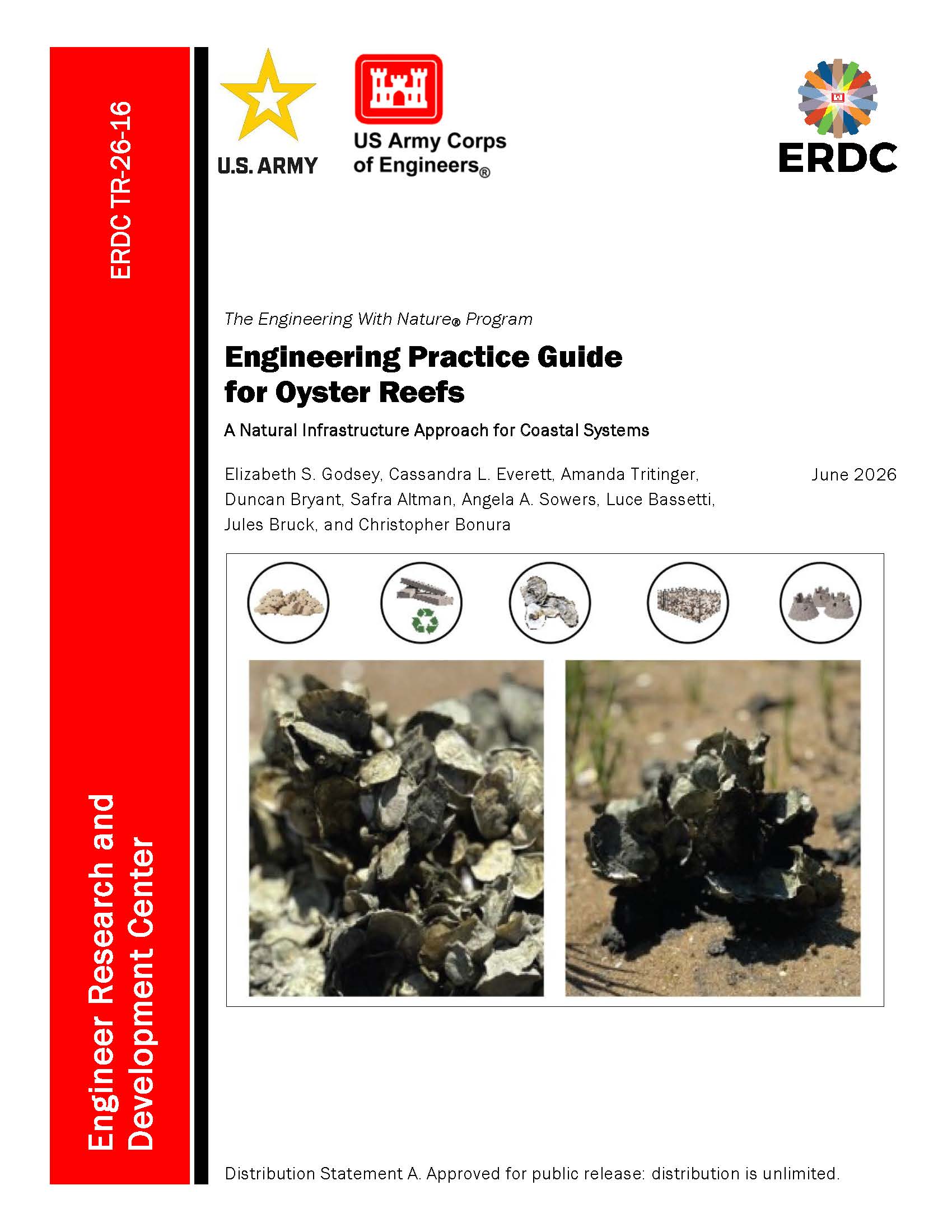 Cover of ERDC Technical Report 26-16, Engineering Practice Guide for Oyster Reefs: A Natural Infrastructure Approach for Coastal Systems, from the Engineering With Nature® Program, dated June 2026. U.S. Army, U.S. Army Corps of Engineers, and ERDC logos appear across the top. The cover features two close-up photographs of oyster clusters and small circular illustrations representing different oyster reef materials and structures. A red vertical sidebar identifies the Engineer Research and Development Center and report number ERDC TR-26-16. The bottom states that the report is approved for public release with unlimited distribution.