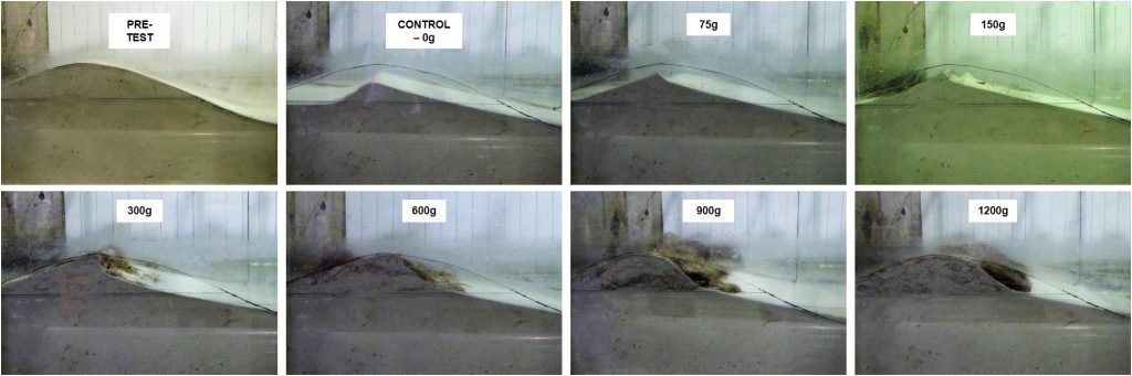 Eight-panel photographic sequence showing changes in a sand dune during an experimental test with increasing biomass amounts. Images are labeled pre-test, control (0 g), 75 g, 150 g, 300 g, 600 g, 900 g, and 1200 g. The dune progressively changes shape, with visible sediment erosion and redistribution becoming more pronounced at higher biomass amounts.